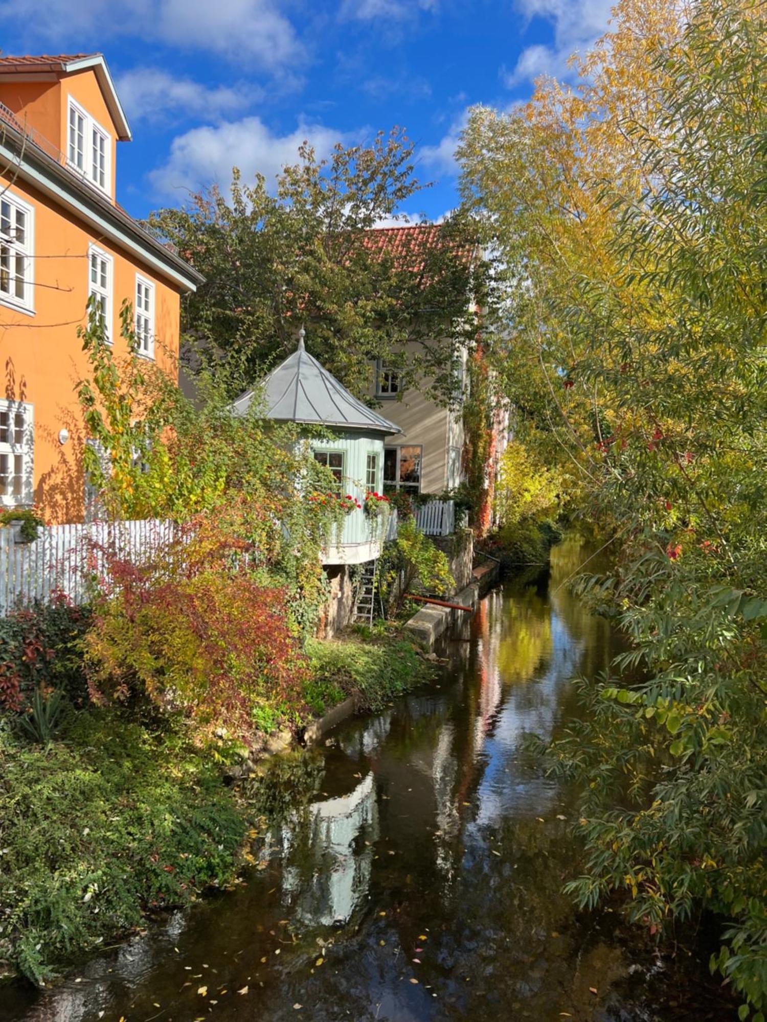 Ferienwohnung Schildblick Modernes Apartment Direkt In Der Altstadt Von Erfurt Nahe Der Kraemerbruecke - Beste Innenstadtlage ภายนอก รูปภาพ